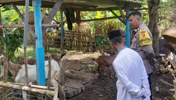 Polri Perkuat Ketahanan Pangan di Senggigi: Apa yang Terjadi?