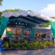 Semarak Car Free Nite: Kolaborasi Budaya dan Kesehatan di Lombok Barat