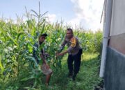 Program Ketahanan Pangan Nasional: Langkah Konkret Polri di Lombok Barat