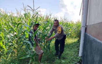 Program Ketahanan Pangan Nasional: Langkah Konkret Polri di Lombok Barat