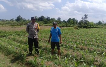 Sinergi Polri dan Petani: Polsek Gerung Galakkan Pemanfaatan Lahan Pekarangan untuk Pangan Bergizi
