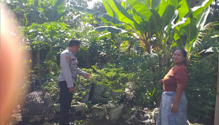 Polsek Kuripan Dorong Ketahanan Pangan Lewat Peran Aktif Bhabinkamtibmas