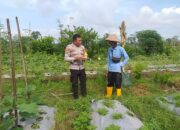 Optimalisasi Lahan untuk Ketahanan Pangan: Langkah Nyata Polri di Lombok Barat