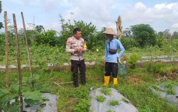 Optimalisasi Lahan untuk Ketahanan Pangan: Langkah Nyata Polri di Lombok Barat