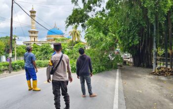 Sinergi Polsek dan Dinas LH Lombok Barat Dalam Penertiban Pohon Berbahaya