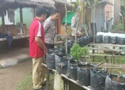 Kolaborasi Polri dan Pertanian dalam Program Pekarangan Bergizi untuk Ketahanan Pangan