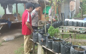 Kolaborasi Polri dan Pertanian dalam Program Pekarangan Bergizi untuk Ketahanan Pangan