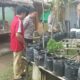 Kolaborasi Polri dan Pertanian dalam Program Pekarangan Bergizi untuk Ketahanan Pangan