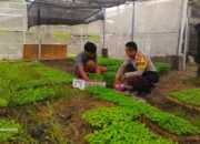 Polsek Kuripan Perkuat Ketahanan Pangan Lewat Pemanfaatan Lahan Produktif