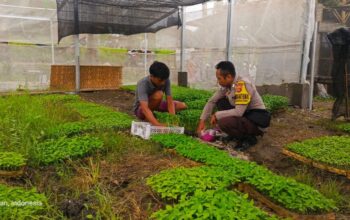 Polsek Kuripan Perkuat Ketahanan Pangan Lewat Pemanfaatan Lahan Produktif