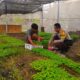 Polsek Kuripan Perkuat Ketahanan Pangan Lewat Pemanfaatan Lahan Produktif