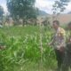 Kolaborasi Bhabinkamtibmas dan Babinsa Desa Goa Terus Bergerak Dampingi Petani Jagung Sukseskan Ketahanan Pangan Nasional