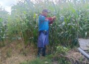Polri Dukung Ketahanan Pangan di Desa Beleka Lombok Barat