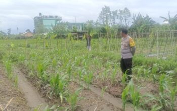 Silaturahmi Polisi dan Petani, Perkuat Pangan dan Keamanan Desa