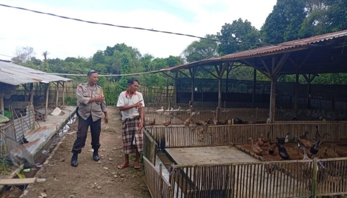 Bhabinkamtibmas Dorong Ketahanan Pangan di Dusun Merembu Tengah