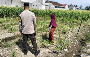 Bhabinkamtibmas Labuapi Dorong Pemanfaatan Lahan Demi Ketahanan Pangan