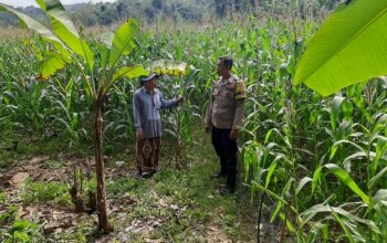 Bhabinkamtibmas Sekotong Timur Dampingi Petani Dukung Ketahanan Pangan