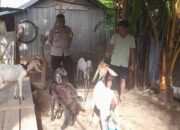 Bhabinkamtibmas Senggigi Gencarkan Edukasi Ketahanan Pangan di Dusun Krandangan