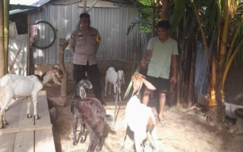 Bhabinkamtibmas Senggigi Gencarkan Edukasi Ketahanan Pangan di Dusun Krandangan
