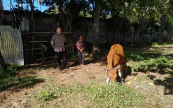 Bhabinkamtibmas Senggigi Dukung Ketahanan Pangan Lokal