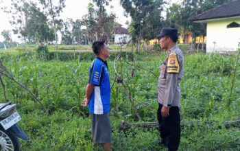 Ketahanan Pangan Desa Kuripan Didukung Langsung Aparat Kepolisian