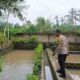 Ketahanan Pangan Dimulai dari Dusun Pesongoran, Lombok Barat