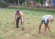 Bhabinkamtibmas di Gerung Dorong Kemandirian Pangan di Desa Taman Ayu