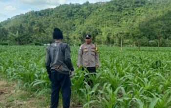 Bhabinkamtibmas Sekotong Dorong Pemanfaatan Lahan untuk Ketahanan Pangan