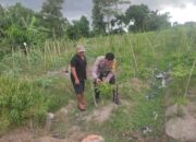 Kolaborasi Warga dan Polisi Dorong Pemanfaatan Pekarangan di Labuapi