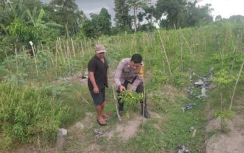Kolaborasi Warga dan Polisi Dorong Pemanfaatan Pekarangan di Labuapi