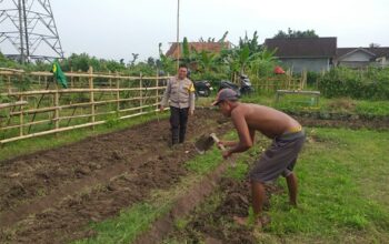 Lahan Pekarangan di Jagaraga Jadi Solusi Ketahanan Pangan