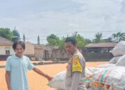 Polsek Gerung Awasi Gudang Jagung Desa Beleka Demi Ketahanan Pangan