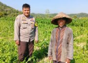 Peran Polsek Lembar dalam Ketahanan Pangan Desa