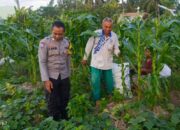 Petani Kuripan Utara Terapkan Inovasi Pertanian Didukung Polri