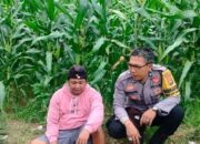 Kolaborasi Polri dan Warga Eyat Mayang: Pilar Ketahanan Pangan Lokal