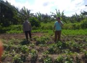 Polri Dukung Ketahanan Pangan Nasional Bhabinkamtibmas Jagaraga Ajak Petani Manfaatkan Lahan Produktif