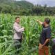 Polri Dampingi Petani Sekotong, Perkuat Ketahanan Pangan