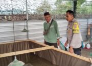 Polsek Lembar Gencarkan Edukasi Swasembada Pangan di Tingkat Desa