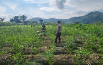 Sinergi Polisi dan Petani Dorong Ketahanan Pangan di Jembatan Kembar Timur