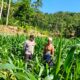 Bhabinkamtibmas Mareje Timur Dampingi Petani Jelang Musim Tanam