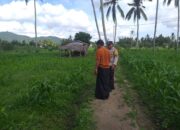 Bhabinkamtibmas Aktif Dukung Ketahanan Pangan di Kuripan Timur