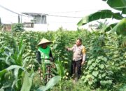 Bhabinkamtibmas Ajak Warga Optimalkan Pekarangan untuk Ketahanan Pangan di Labuapi