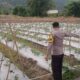 Bhabinkamtibmas Desa Senayan Dampingi Pengelolaan Pekarangan Pangan Bergizi untuk Dukung Ketahanan Pangan
