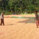 Pantau dan Bantu Kegiatan Petani di Desa Binaan Bhabinkamtibmas Polsek Soromandi Dukung Penuh Program Ketahanan Pangan Nasional