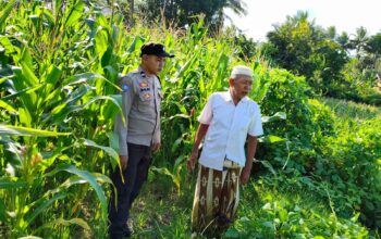 Polri Dukung Ketahanan Pangan di Mareje Timur Lewat Pengecekan Lahan