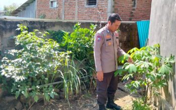 Edukasi Warga Binaan Manfaatkan Lahan Pekarangan Upaya Bhabinkamtibmas Polsek Woha Dukung Ketahanan Pangan Nasional