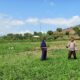 Mendukung Program Ketahanan Pangan Nasional, Bhabinkamtibmas Polsek Woha Pantau Lahan Sayur Milik Warga Binaan