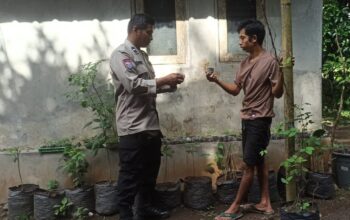 Batulayar Bangkitkan Ketahanan Pangan Lewat Pekarangan Bergizi