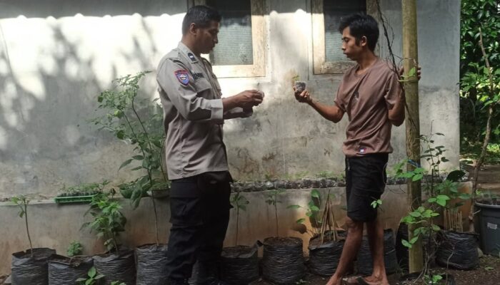 Batulayar Bangkitkan Ketahanan Pangan Lewat Pekarangan Bergizi