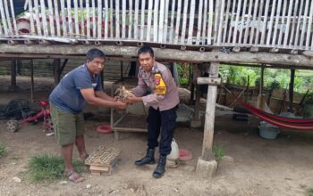 Jelang Hari Bhayangkara ke-79, Brigadir Kamaludin Bagikan 100 Bibit Ternak dan 1.000 Bibit Tanaman Bergizi kepada Warga Desa Sermong